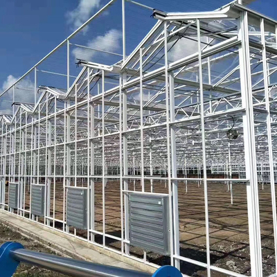 Type élevé envergure multi commerciale forte de Venlo de serre chaude couverte de verre