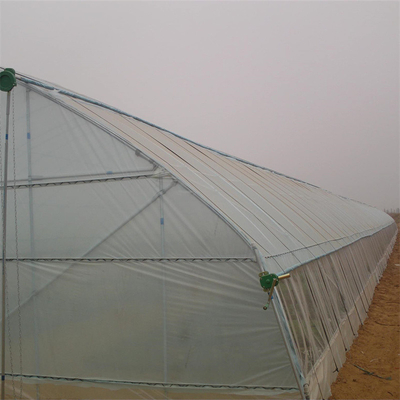 Conservation simple de la chaleur de serre chaude d'envergure de tunnel de feuille de plastique pour la tomate d'hiver