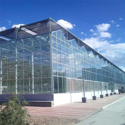 Le type serre chaude de Venlo en verre de Polytunnel de cadre en métal a stabilisé 60x90m