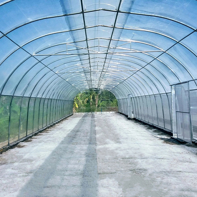 Serre chaude simple de conduit de toit de parapluie de tunnel d'envergure simple d'agriculture pour la zone sensible