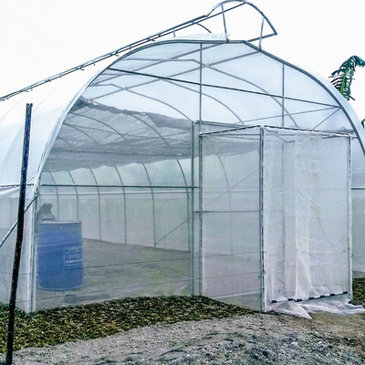 Serre chaude simple d'envergure de conduit de toit de parapluie pour l'élevage hydroponique de tropiques