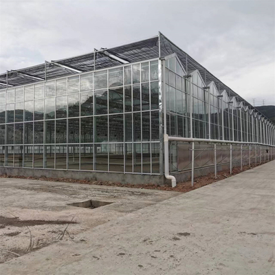 serre chaude agricole de verre trempé de Venlo de serres chaudes de Multi-envergure avec le système croissant hydroponique