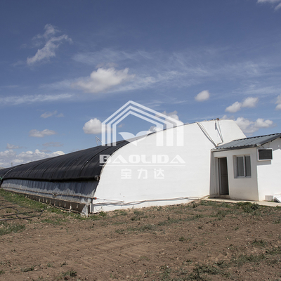 Serre solaire passive à haute isolation pour contrôle de température sur mesure