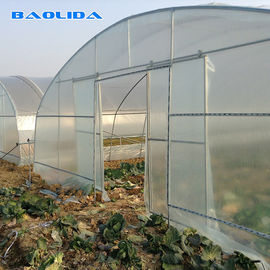 Hauts légumes de tunnel plantant la serre chaude végétale de feuille de plastique de tunnel d'envergure simple
