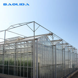 Type multi commercial agricole couvert de verre de Venlo de serre chaude d'envergure