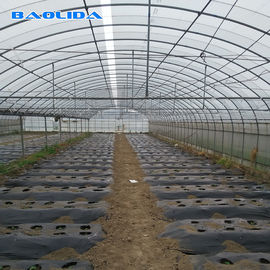 Serre chaude multi de grande taille d'envergure de cadre en acier pour la plantation végétale de tomate