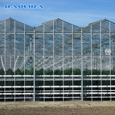 Côtés et type couvert de verre supérieur serre chaude de système de ventilation Multispan Venlo