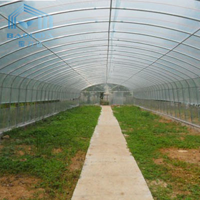 Usines d'agriculture s'élevant cultivantes la serre chaude en plastique de tunnel simple d'envergure de pellicule de polyéthylène