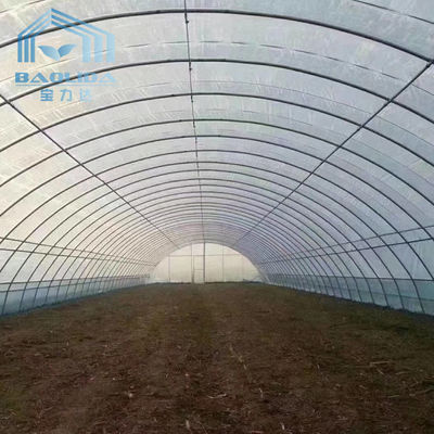 Serre chaude en plastique d'envergure de tunnel de fraise de PE de tunnel simple agricole de serre chaude