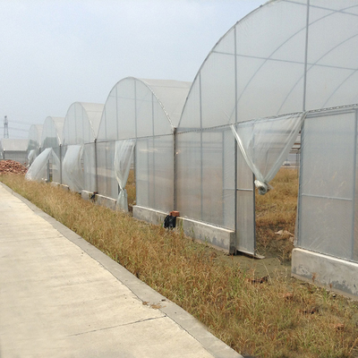 Serre chaude multi agricole agricole d'envergure de haut tunnel pour l'horticulture