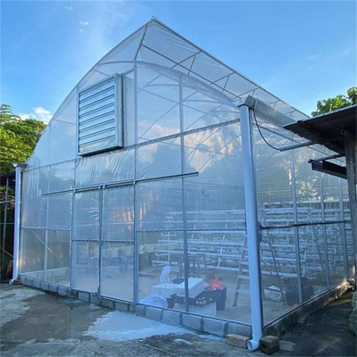 Anti égouttement de largeur de la serre chaude 10m de feuille de plastique pour la plantation de tomate