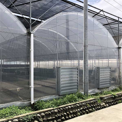 Serre chaude multi en plastique industrielle commerciale agricole d'envergure pour la plantation de tomate