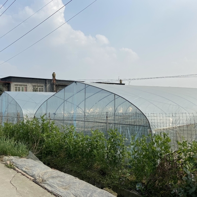 Serre chaude en plastique de 8m de largeur de PE de film de tunnel agricole de Simple-envergure pour la culture de légumes