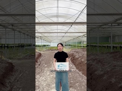 Prêt à améliorer ton jeu d'agriculture?