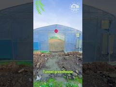 Serre chaude de tunnel