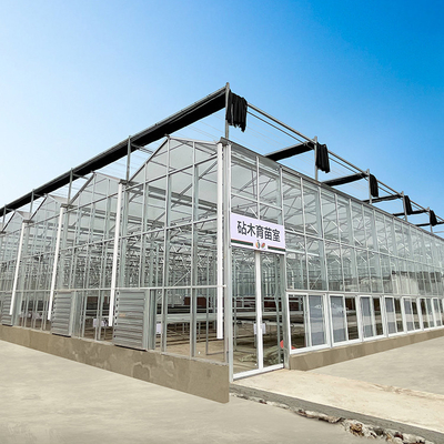 Qualité  Multi Span Hyroponic Galvanized Float Venlo Greenhouse Glass Agricultural Kits usine