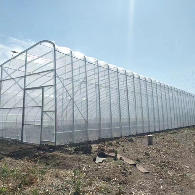 Qualité  Plastic Film Solar Passive Greenhouse With Rainwater Collection Support usine