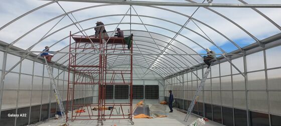 Qualité  Automated Light Deprivation Greenhouse with 8mm Twin-Wall PC Board and Hot-Dip Galvanized Steel Frame Controlled by Smart PLC System usine