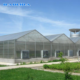 Qualité  Commercial Polycarbonate Sheet Greenhouse / PC Sheet Greenhouse Customized Material usine