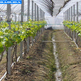 Qualité  Small Greenhouse Irrigation System / Greenhouse Auto Watering System usine