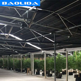 Qualité  Advanced Automated Blackout Greenhouse Full Auto Light Deprivation Hemp Growing usine