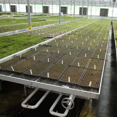 Qualité  Modern Aluminum Greenhouse Ebb Flow Table With Drain Tray Valve usine