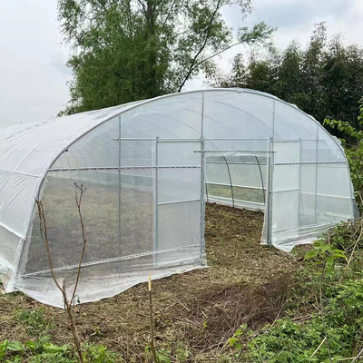 Qualité  Strawberry Growing Side Ventilation Single Span Greenhouse For Agriculture usine