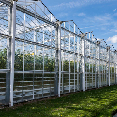 Serre chaude en verre solaire agricole croissante hydroponique de système pour des légumes