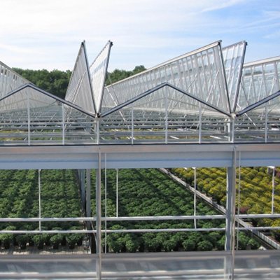 Serre chaude en verre solaire agricole croissante hydroponique de système pour des légumes