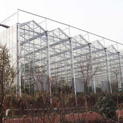 Type transparent agricole serre chaude de Venlo pour des fleurs de fruits