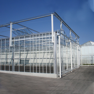 Serre chaude automatisée de mur de verre de culture hydroponique d'usine pour la fraise de tomate