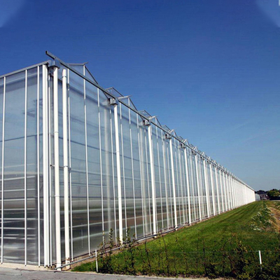 Serre chaude automatisée de mur de verre de culture hydroponique d'usine pour la fraise de tomate