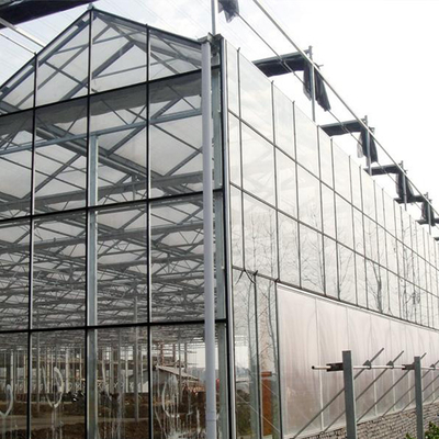 Usines d'agriculture élevant la serre chaude en verre de Venlo d'envergure multi avec la protection de refroidissement