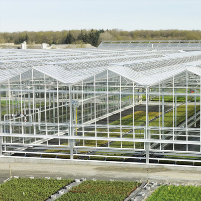 Serre chaude végétale Multispan de verre trempé de Venlo de culture hydroponique pour l'élevage de tomate