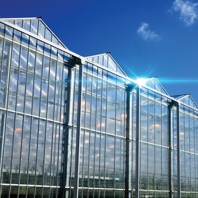 Verre industriel en polycarbonate à planche creuse en extérieur en verre multispan professionnel Serre néerlandaise pour la plantation de fleurs