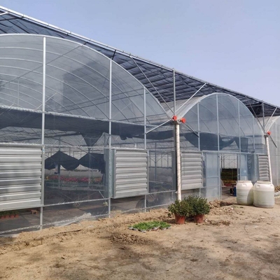 Grande serre chaude multi transparente d'envergure de 200 microns de Coverd de feuille de plastique d'Agroculture