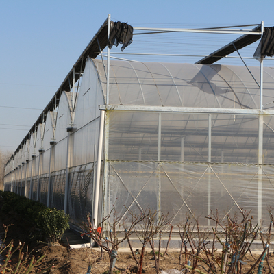 Grande serre chaude multi transparente d'envergure de 200 microns de Coverd de feuille de plastique d'Agroculture