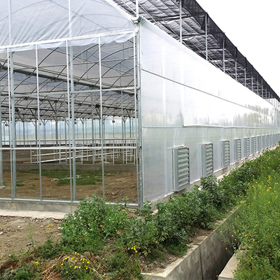 Appui multi transparent en plastique de fenêtre latérale d'agriculture de serre chaude d'envergure