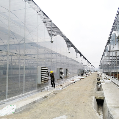 Promenade galvanisée en serre chaude multi en plastique d'envergure de Chambre de tunnel de Multispan 5.3m