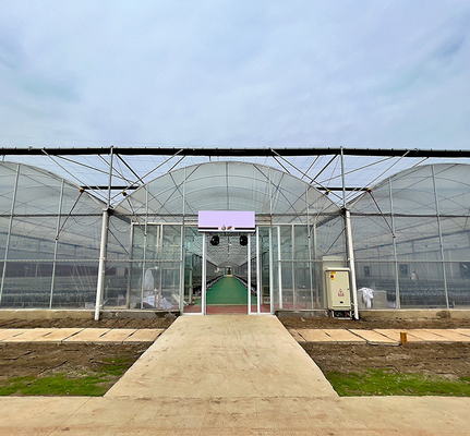 Agriculture plantant la serre chaude multi d'envergure de serre chaude de cadre en acier de large échelle de bâches en plastique