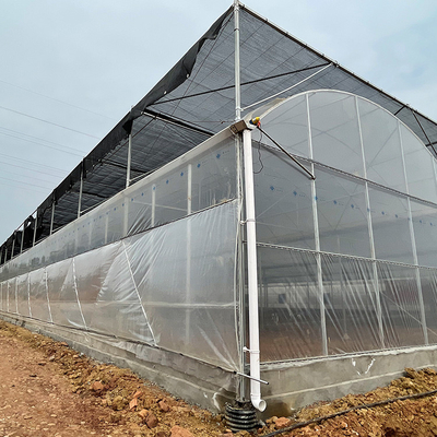 Serre chaude agricole de feuille de plastique d'envergure multi adaptée aux besoins du client pour la plantation de tomate