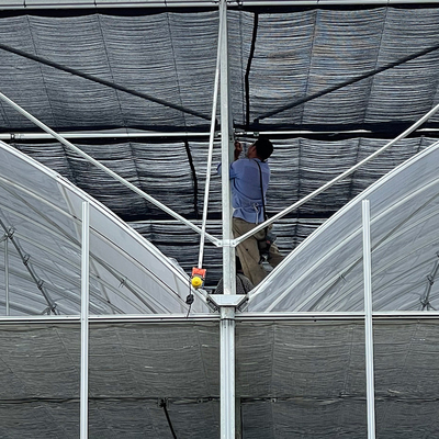 Type galvanisé de toit de voûte de tuyau d'acier serre chaude de feuille de plastique avec le système de culture hydroponique