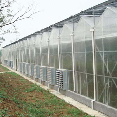 Envergure multi 30 x 100 de système d'agriculture de polycarbonate de serre chaude hydroponique de feuille