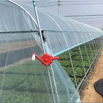 Agriculture cultivant la serre chaude croissante de feuille de plastique de tunnel pour l'élevage de poivre