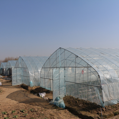 Serre chaude simple de feuille de plastique de tunnel d'agriculture pour la fraise plantant l'élevage