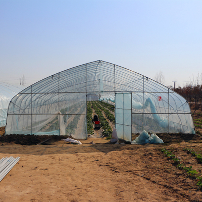 La serre chaude galvanisée de feuille de plastique de tunnel de cadre en acier pour des usines de légumes se développent