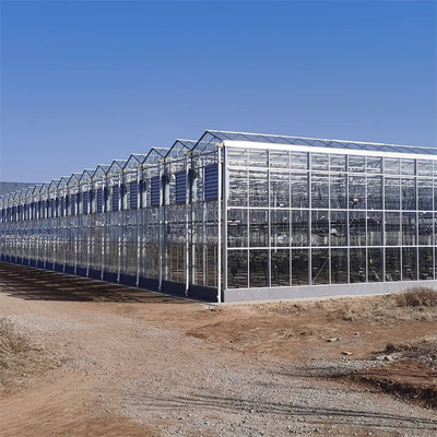 Verre industriel en polycarbonate à planche creuse en extérieur en verre multispan professionnel Serre néerlandaise pour la plantation de fleurs