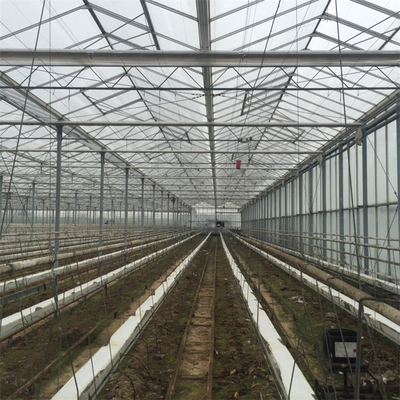 Serre chaude en verre automatique de Venlo d'envergure multi d'agriculture pour la culture de légumes