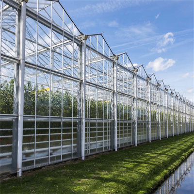 Envergure multi de serre chaude en verre solaire photovoltaïque de Venlo de cadre en acier de galvanisation d'immersion chaude