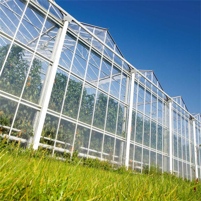 Envergure multi de serre chaude en verre solaire photovoltaïque de Venlo de cadre en acier de galvanisation d'immersion chaude